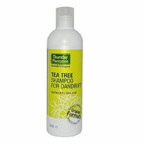 TEA TREE SHAMPOO FOR DANDRUFF